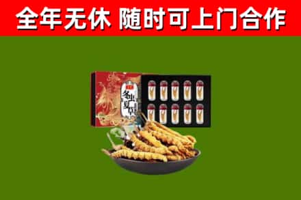 博白回收冬虫夏草价格